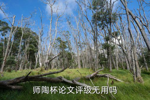 師陶杯論文評級無用嗎