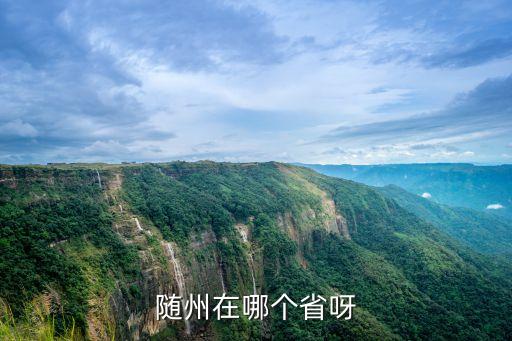 隨州在哪里，荊豫要沖指的是哪個城市