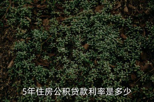 5年期貸款利率，現(xiàn)在央行5年期貸款利率是多少