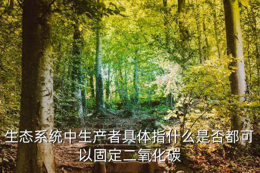 生產(chǎn)者，生產(chǎn)者主要是指什么