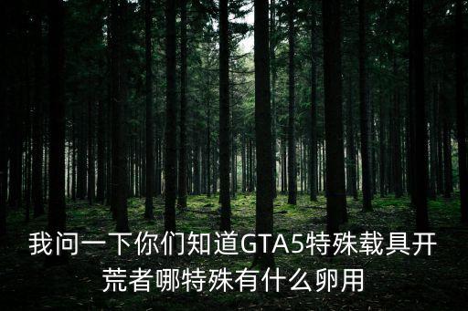 我問一下你們知道GTA5特殊載具開荒者哪特殊有什么卵用