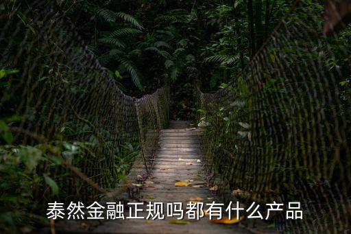 泰然金融正規(guī)嗎都有什么產(chǎn)品