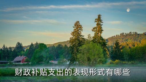 財(cái)政補(bǔ)貼，財(cái)政補(bǔ)貼支出的表現(xiàn)形式有哪些
