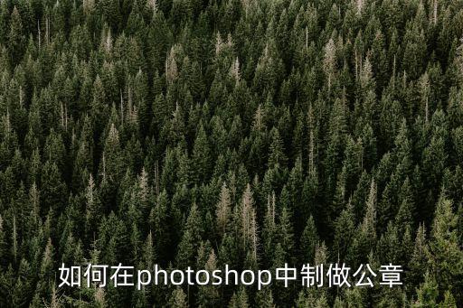 如何在photoshop中制做公章