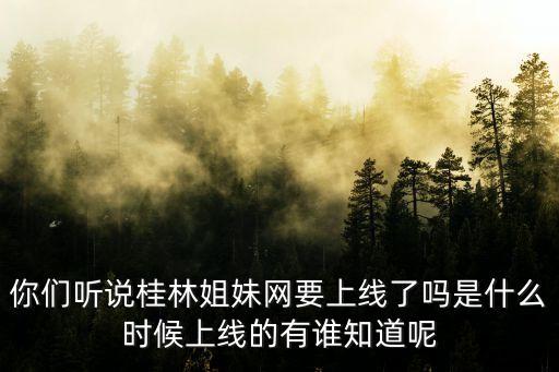你們聽說桂林姐妹網(wǎng)要上線了嗎是什么時候上線的有誰知道呢