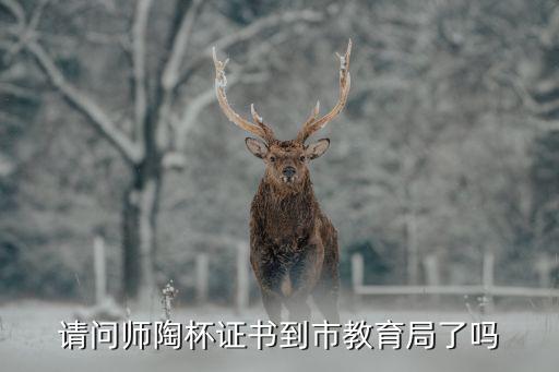 師陶杯，師陶杯論文評(píng)級(jí)無(wú)用嗎