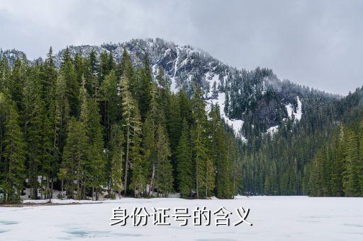 身份號，身份證號碼