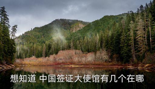 想知道 中國簽證大使館有幾個在哪