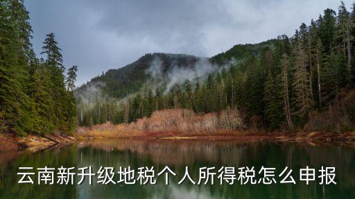 個(gè)人所得稅申報(bào)，我是昆明個(gè)體戶想在昆明買套房子不知怎么辦理個(gè)稅證明急  搜
