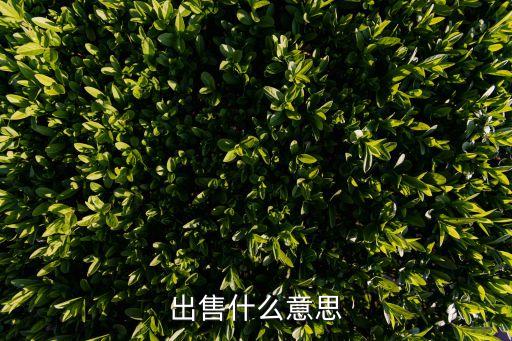 出售什么意思