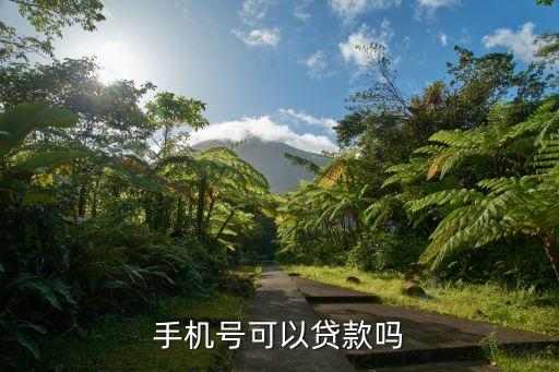 手機(jī)號(hào)可以貸款嗎
