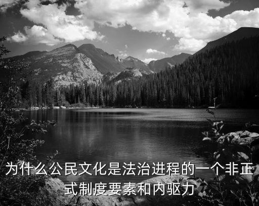 公民文化，為什么公民文化是法治進程的一個非正式制度要素和內(nèi)驅(qū)力