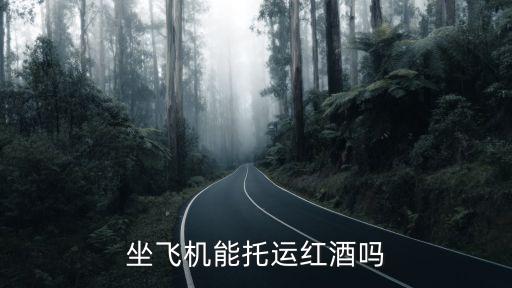 紅酒可以托運嗎，請問一箱紅酒可以托運嗎拜托各位了 3Q