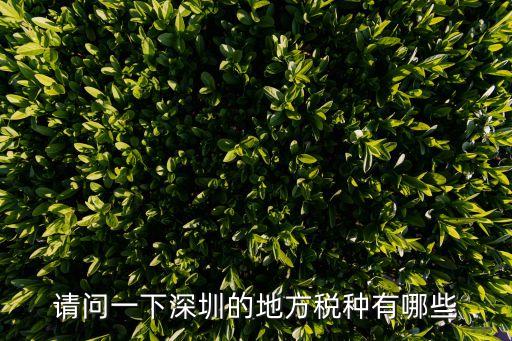 請問一下深圳的地方稅種有哪些