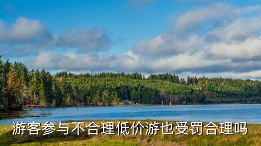游客參與不合理低價(jià)游也受罰合理嗎