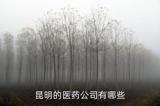 昆明的醫(yī)藥公司有哪些
