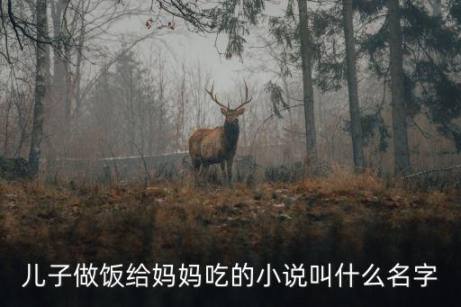 兒子操媽媽的小說，母子奇?zhèn)b小說
