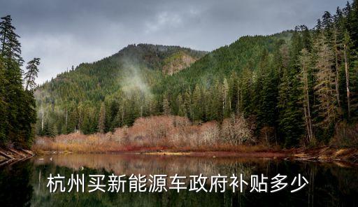 杭州新能源補貼，杭州買新能源車政府補貼多少