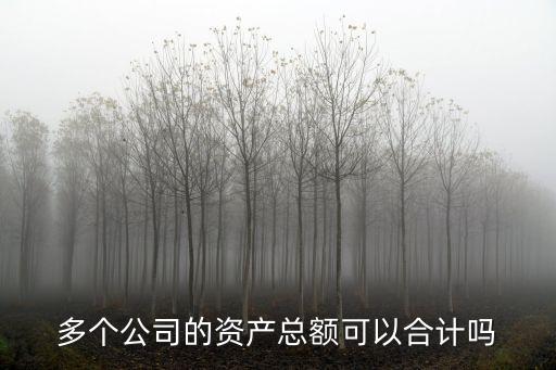 資產(chǎn)合計(jì)，資產(chǎn)負(fù)債表中的資產(chǎn)總計(jì)怎樣核算