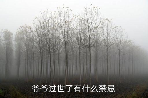 守孝期，守孝期間不能做什么
