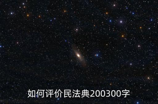 如何評(píng)價(jià)民法典200300字