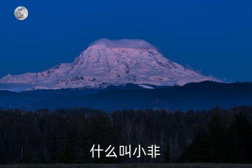 什么叫小非