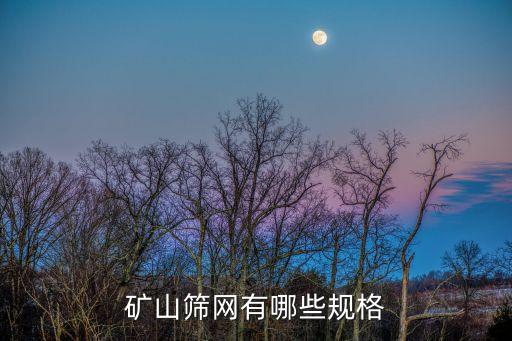 礦山篩網(wǎng)有哪些規(guī)格