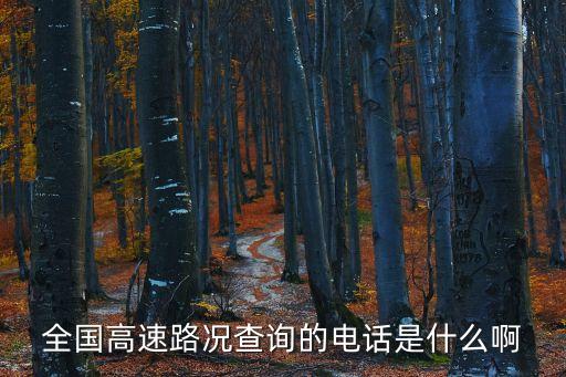 全國(guó)高速路況查詢的電話是什么啊
