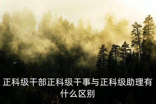 正科級干部正科級干事與正科級助理有什么區(qū)別