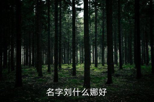 劉琳娜，怎么沒有看到新疆女孩參加非誠勿擾呢
