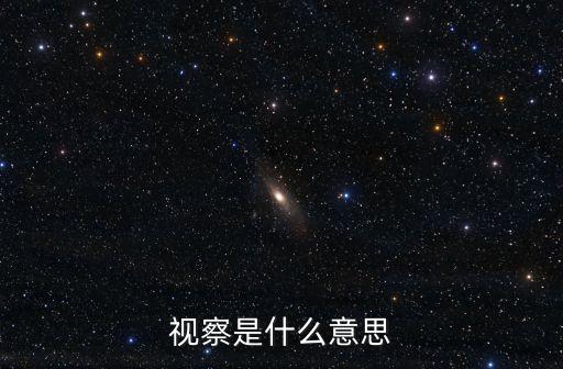 視察是什么意思