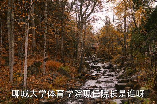 聊城大學體育學院現任院長是誰呀