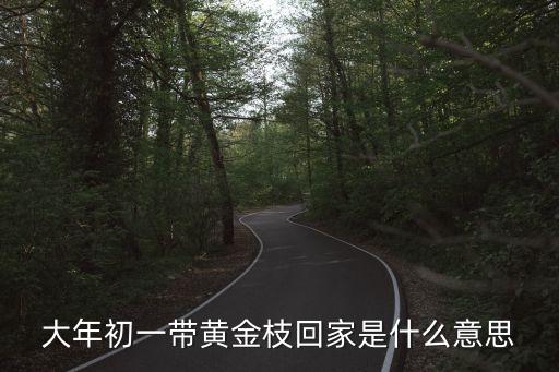 黃金枝，全部我的愛里黃金枝沒和尹斗俊好么