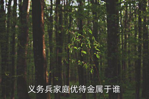 義務(wù)兵家庭優(yōu)待金，孩子去當(dāng)兵家屬有啥錢(qián)