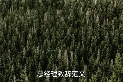 領(lǐng)導(dǎo)講話稿萬能模板，總經(jīng)理致辭范文