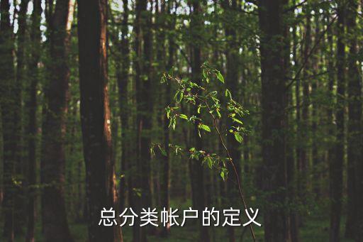 總分類賬戶，什么是總分類賬戶