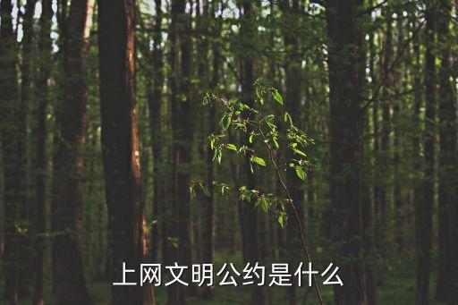 小學(xué)生文明上網(wǎng)公約，上網(wǎng)文明公約是什么