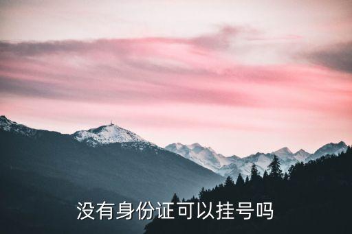 掛號沒帶身份證可以嗎，沒有身份證可以掛號嗎