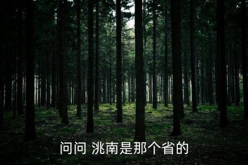 問(wèn)問(wèn) 洮南是那個(gè)省的