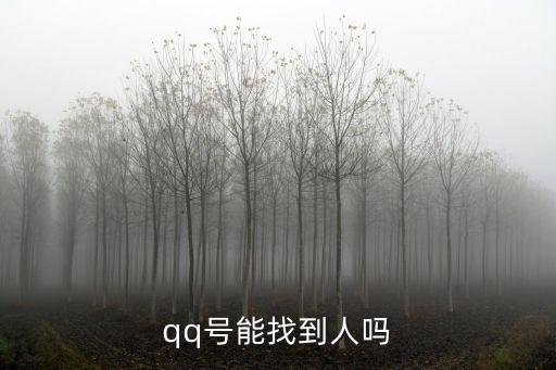 qq號(hào)能找到人嗎