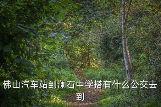 瀾石中學(xué)，佛山瀾石中學(xué)是民辦的還是公辦的