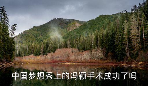 馮穎，大俠傳招馮穎需要什么條件