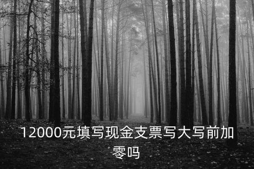12000元填寫(xiě)現(xiàn)金支票寫(xiě)大寫(xiě)前加零嗎