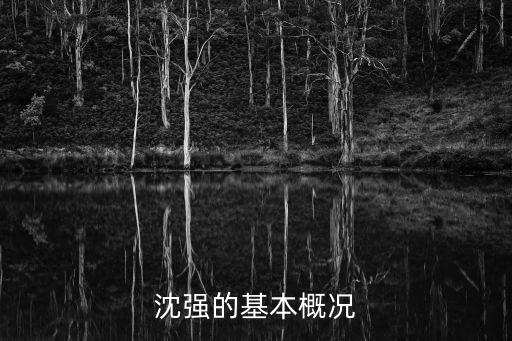 沈強的基本概況