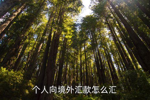 境外匯款，境外匯款是什么意思