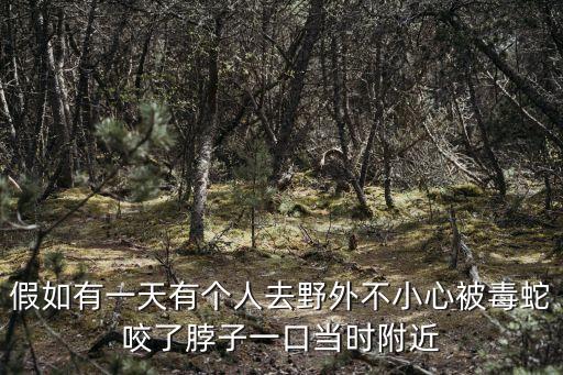假如有一天有個(gè)人去野外不小心被毒蛇咬了脖子一口當(dāng)時(shí)附近