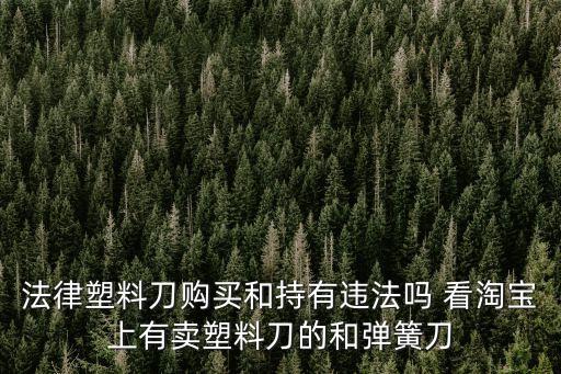法律塑料刀購買和持有違法嗎 看淘寶上有賣塑料刀的和彈簧刀