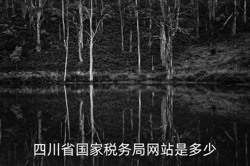 四川省國家稅務(wù)局網(wǎng)站是多少
