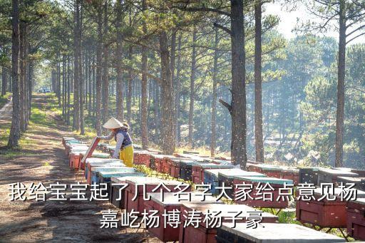 楊博濤，楊博濤這個(gè)名字怎樣