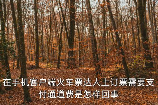 在手機(jī)客戶端火車票達(dá)人上訂票需要支付通道費(fèi)是怎樣回事